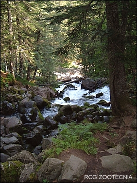 Torrente (Vall d´Arán)