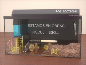 acuario obras