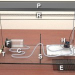 accesorios acuaterrario esquema