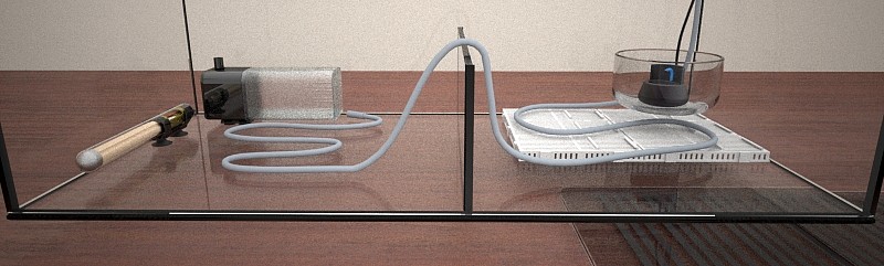 Accesorios acuaterrario