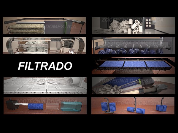Tipos filtro acuario