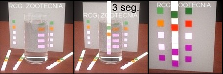 Test tiras