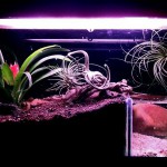 separador acuaterrario