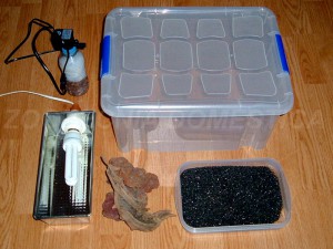 acuario plastico