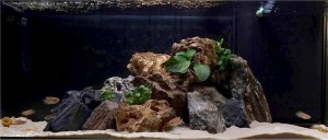 Rocas acuario