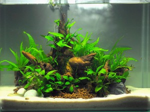 Decoración nanocubo