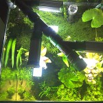 Pantalla múltiple SMD LED