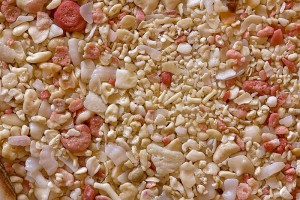 Coralígena, coralina