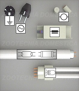 Simbología fluorescentes
