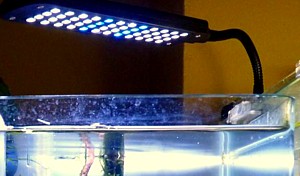Foco pinza dip LED