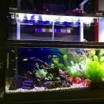 Pantalla Power LED