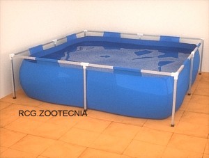 Piscina infantil