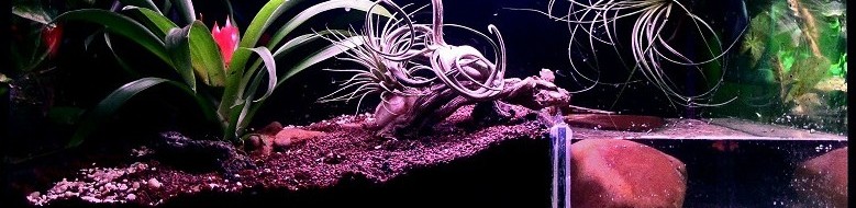 Acuaterrario dividido