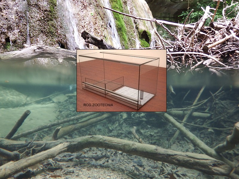 Acuaterrario, aplicación