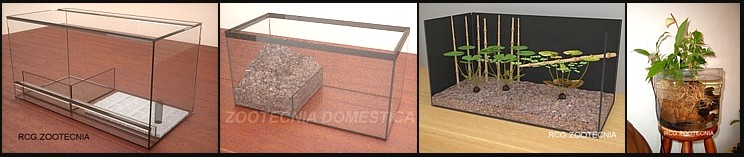 Acuaterrarios varios