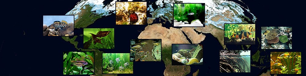 Biotopos del mundo, panorámica