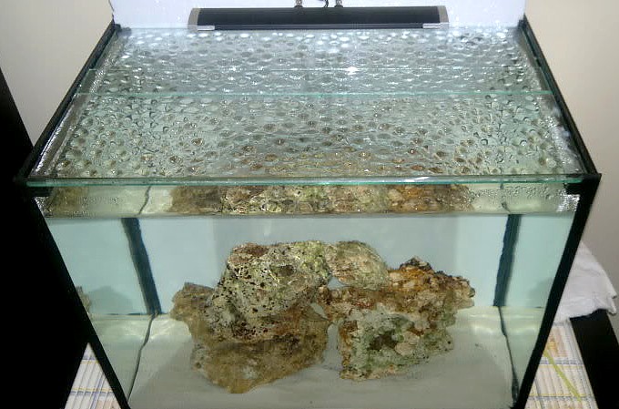 Reef cube