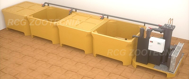 Depuradora marisco modular