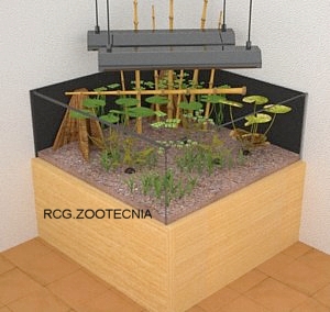 Estanque de interior
