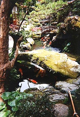 Estanque