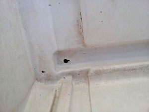 Estanque con nevera