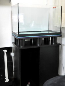 Montaje acuario apistogramma