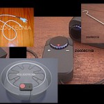 Terrario práctica, panorámica