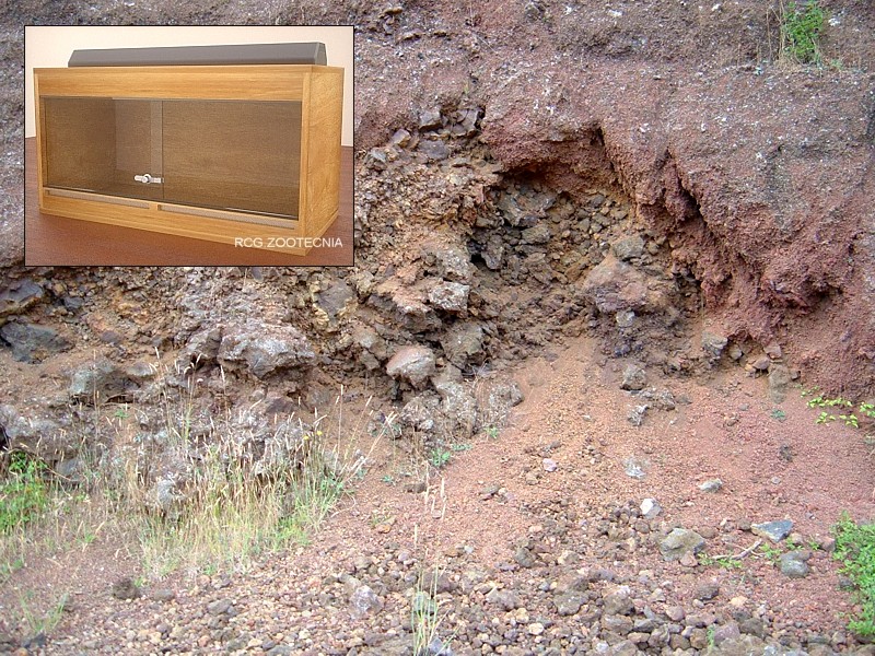 Terrario, aplicación