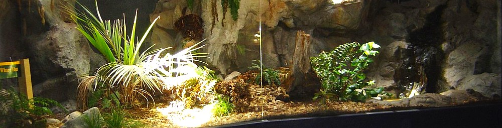 Terrario exposición