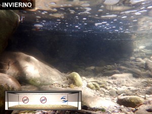 Circulación estacional en invierno, arroyo mediterráneo