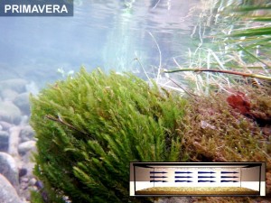 Circulación estacional, arroyo mediterráneo