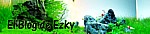 elblogdeezky_150x34