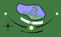 Orientación estanque