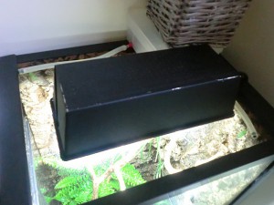 Acuario como terrario