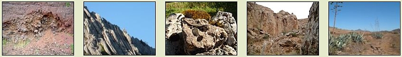 Biotopos rocosos