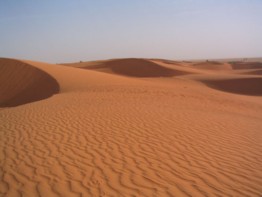Dunas en Mauritania (Erg)