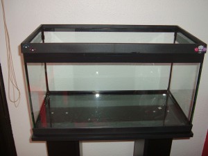Colocamos el acuario