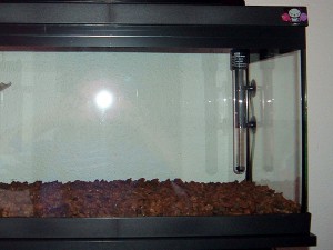 Instalando el termostato calentador