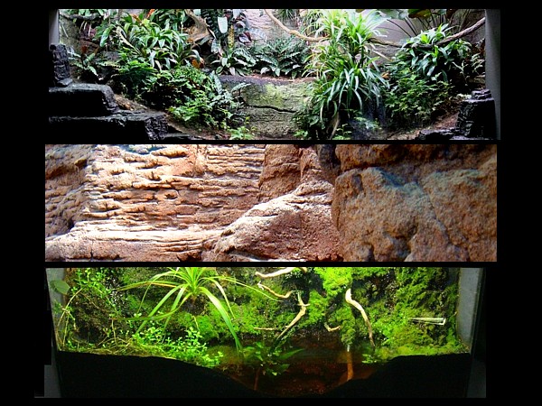 Reproduccion biotopos terrario