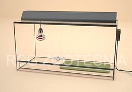 Terrario de vidrio con esterilla y foco