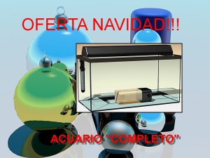 Kit acuario milagroso