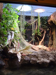 Terrario en el Zoo de BCN