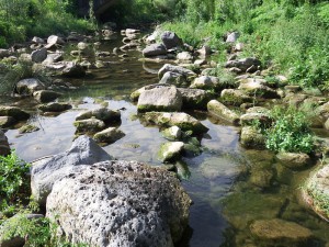 Tramo alto volcánico. La Caña (Olot)