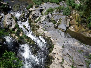 Zona basáltica. La caña (La Canya)