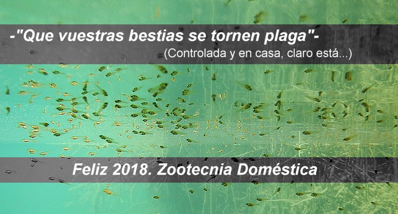 Novedades Zootecnia Doméstica