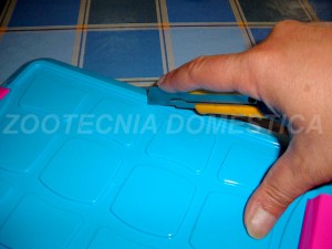 Secohúmedo con cajas