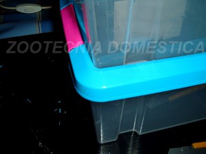 Secohúmedo con cajas
