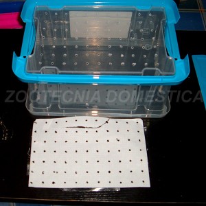 Seco húmedo con cajas