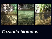 cazando biotopos 200