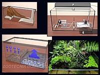 practica acuaterrario 200
